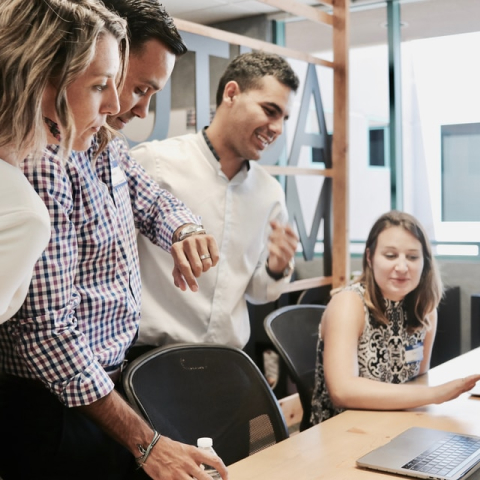 Employment and labor law