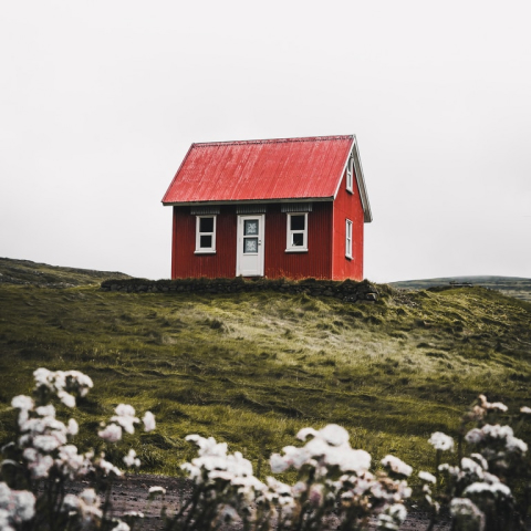 Real Estate Law